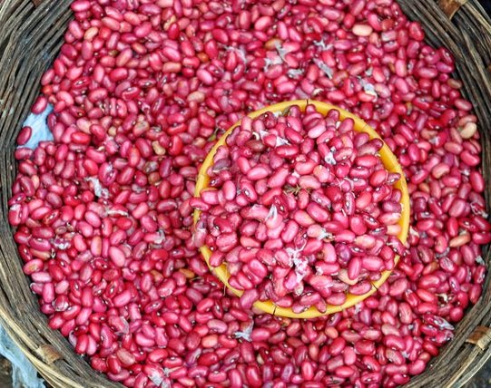 Beans - Wairimu