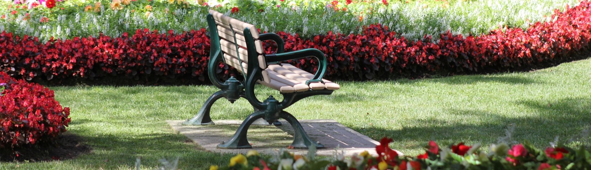 Home & Garden